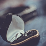 Фотограф Николай Шкитко, Витебск - фото 1