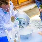 Научное шоу "Лаборатория ИКС", Витебск - фото 3